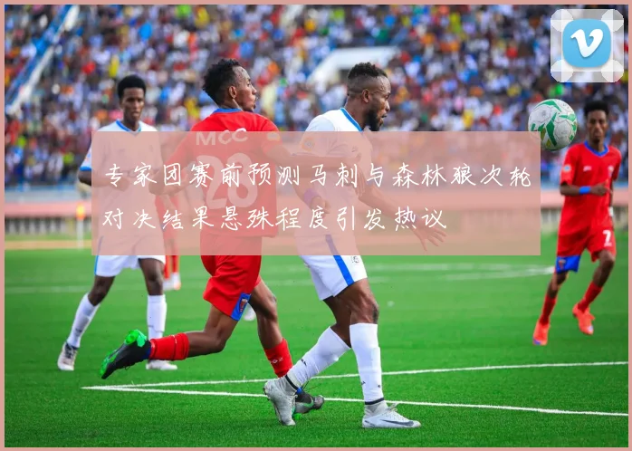 专家团赛前预测马刺与森林狼次轮对决结果悬殊程度引发热议